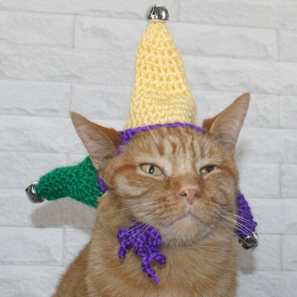 HAND CRAFTED Hat Crochet Jester Cap Mardi Gras Costume Photo Prop Pet Parade - Picture 1 of 13